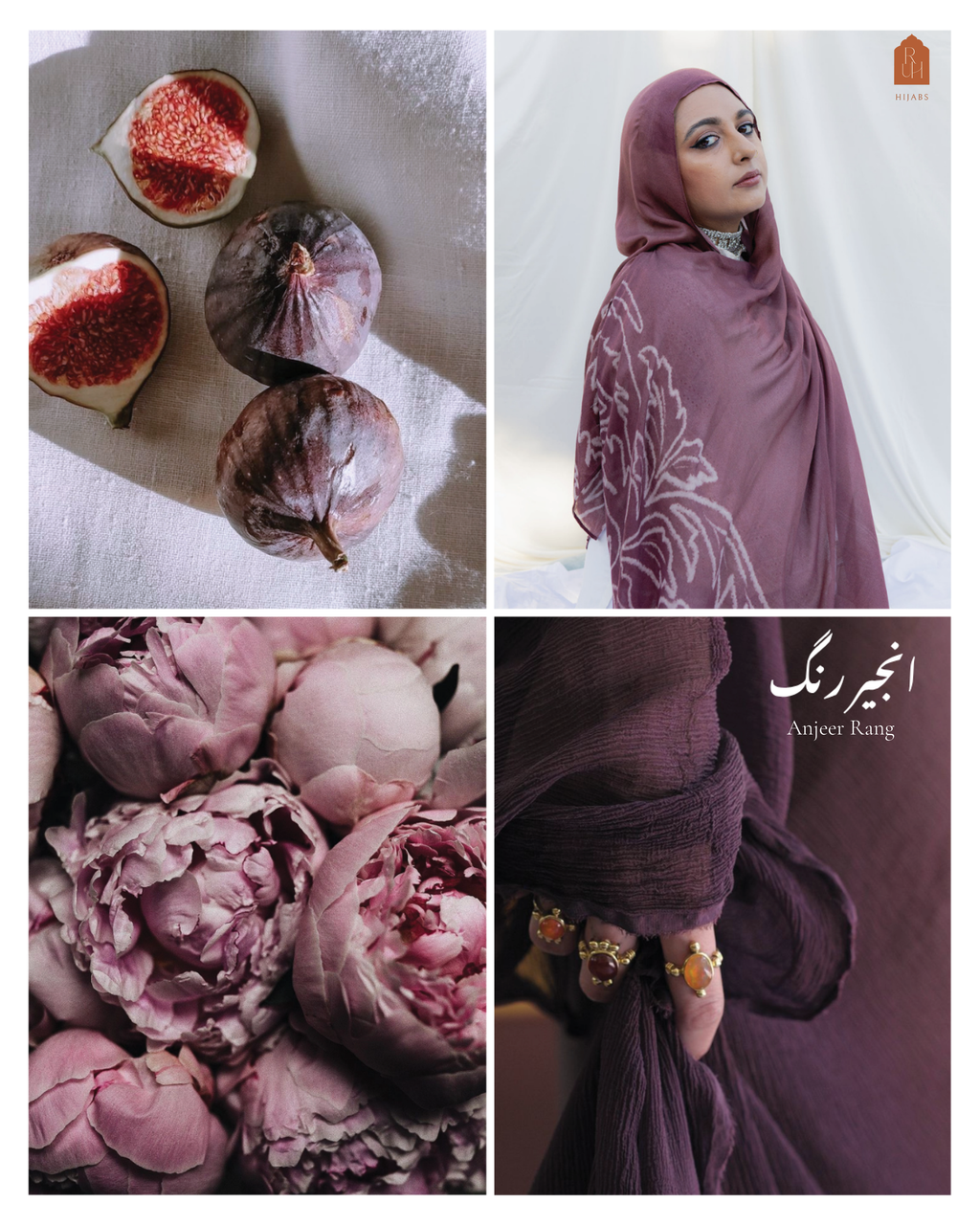Anjeer Rang انجیر رنگ Dusty Rose Mauve Fig Modal Hijab