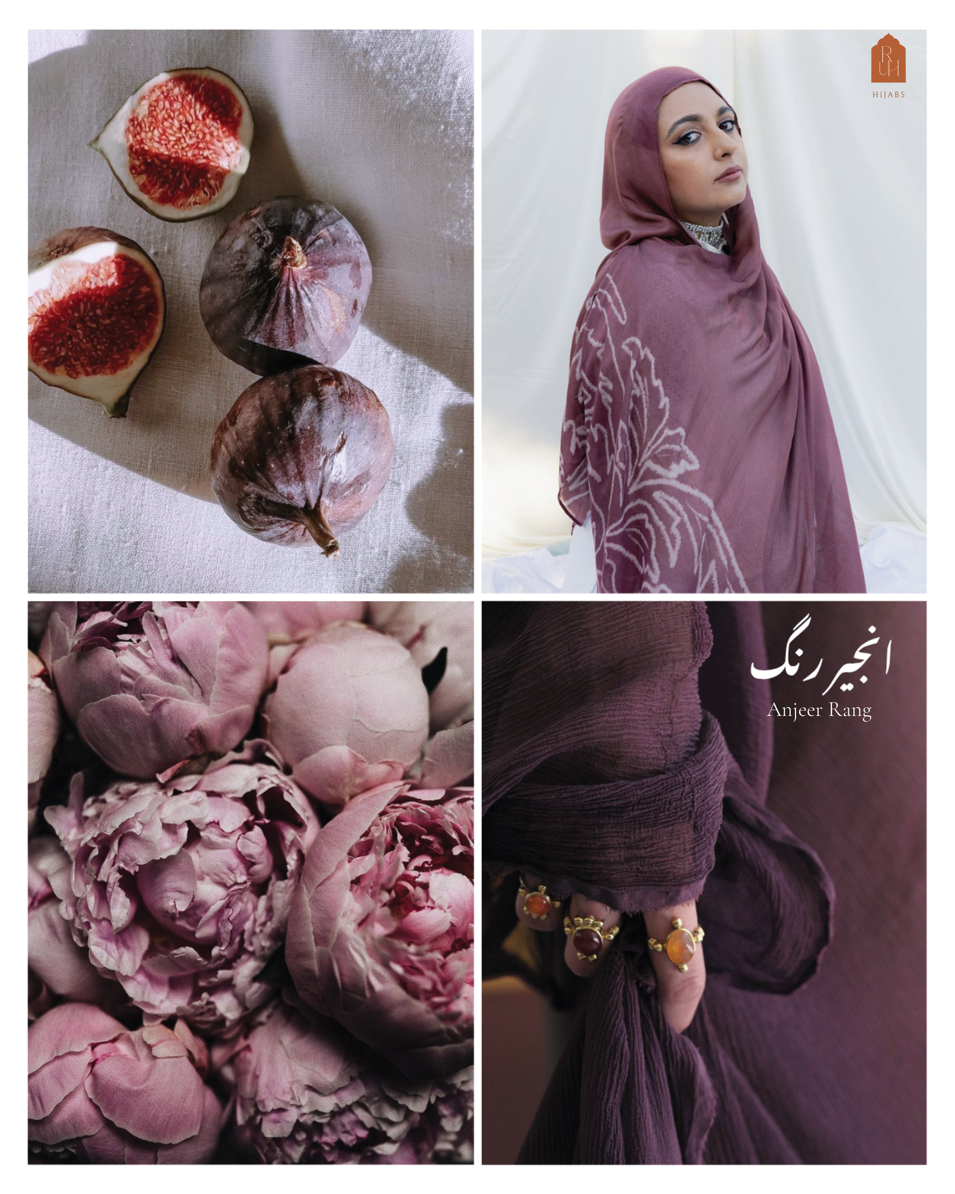 Anjeer Rang انجیر رنگ Dusty Rose Mauve Fig Modal Hijab