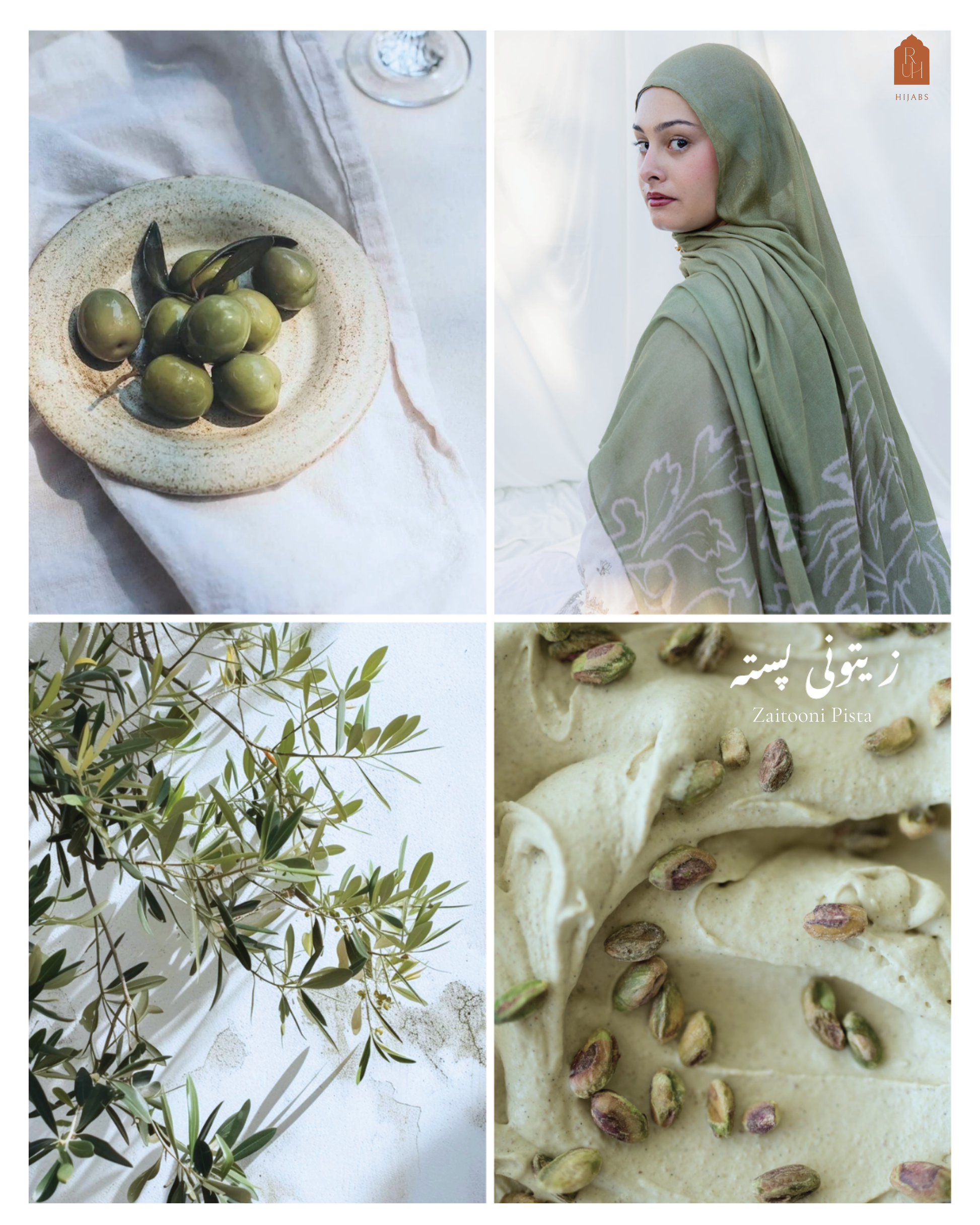 Zaitooni Pista  زیتونی (پستہ) Rectangle Modal Floral Print